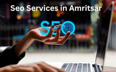 Seo Services in Amritsar